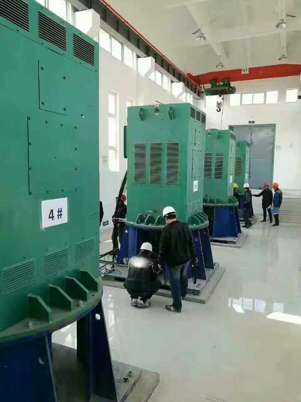 湘桥某污水处理厂使用我厂的立式高压电机安装现场